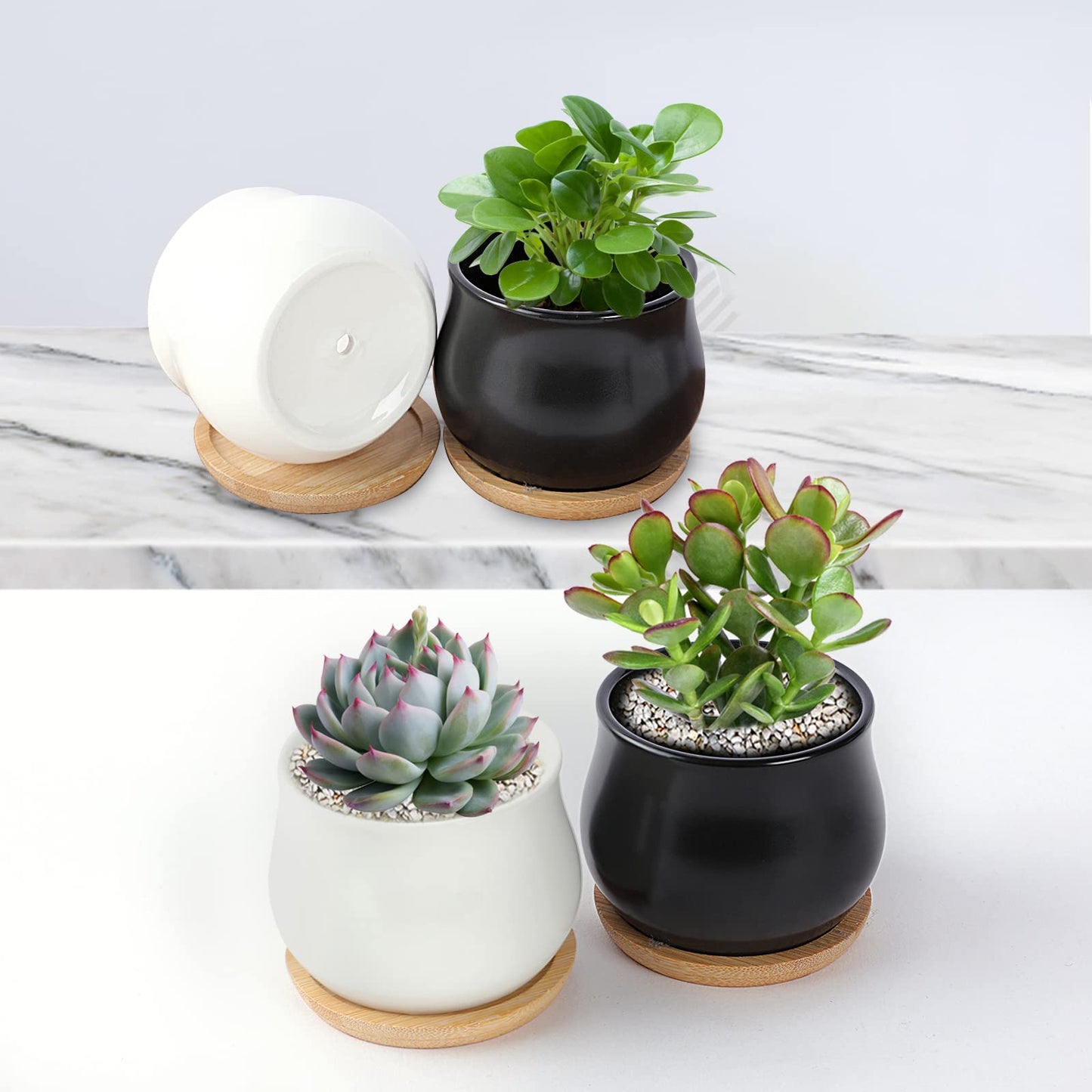 SHECIPIN 12 Pack Succulent Plant Pot, Mini 2.6 inch Ceramic Flower Planter Pot with Bamboo Tray, Small Pots for Plants, Plants Not Included （White, Black）