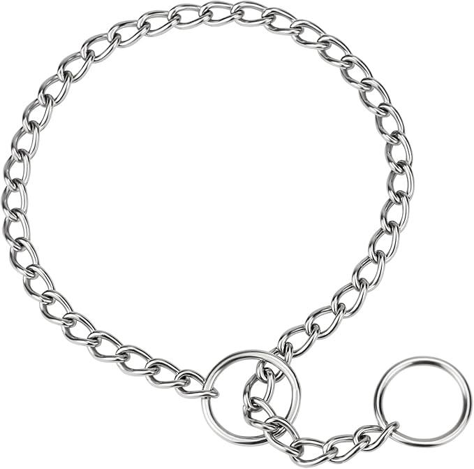 TagME Chain Choke Collar for Dogs, No Pull Training for Small Dogs & Puppy