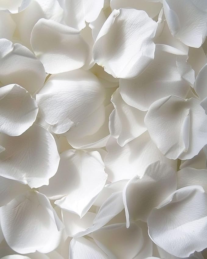REAL Rose Petals, Pearl White Freeze-Dried Petals 1.75oz Biodegradabel Wedding Natural Confetti, Perfectly Preserved Flower Petals for Table Decorations