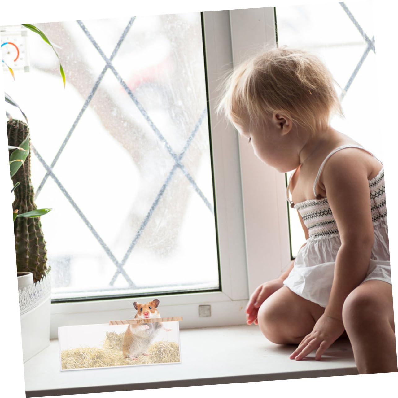 WOONEKY Chinchilla Bath Toy Bin Acrylic Small Chinchilla Bathtub Multi-Function Cage Box Easy Clean Design