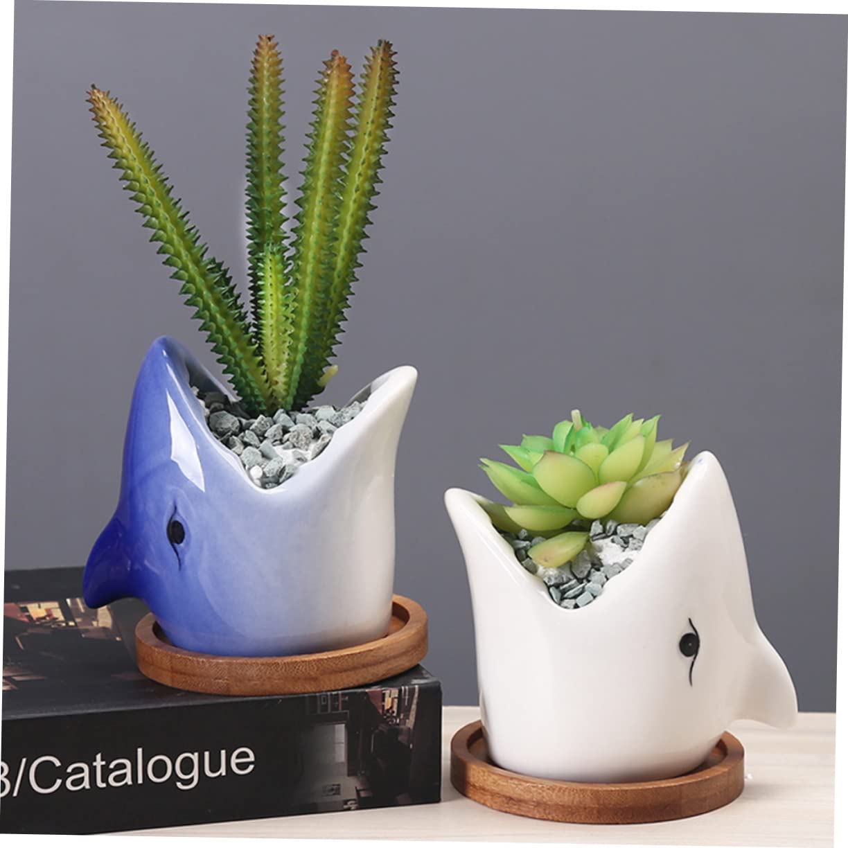 OFFSCH Adorable Ceramic Succulent Flowerpot Unique Big Mouth Shark Design for Indoor Decor Present for Friends and Planter