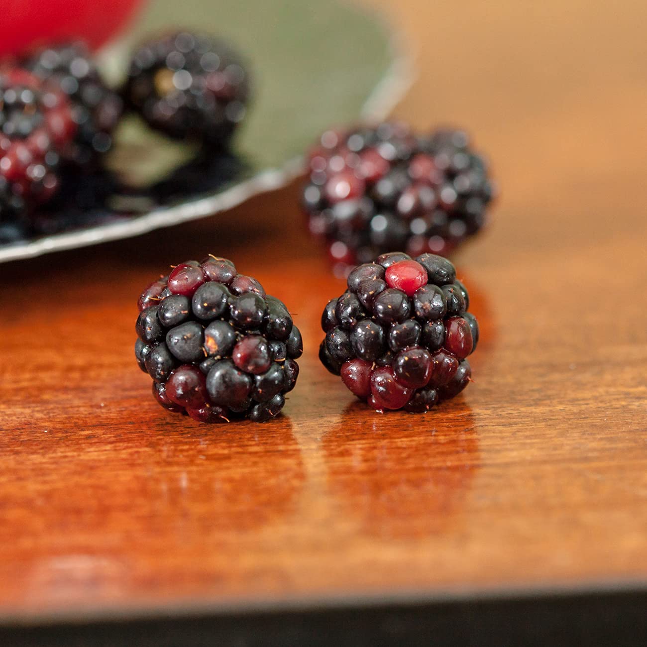 Perfect Plants Arapaho Thornless BlackBerry Bush 1 Gal. Pot Tasty Sweet Fruit Large Firm Berries