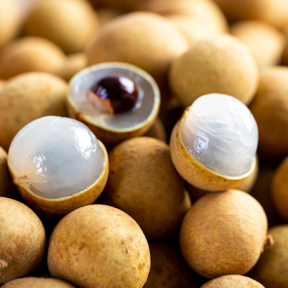 Sweet Longan Tree Live Plant, Longan Fruit Tree, Well Rooted, 3 Gallon Pot, 2-3 Feet Tall, Tropical Fruit Tree for Backyard and Garden, No Ship to CA