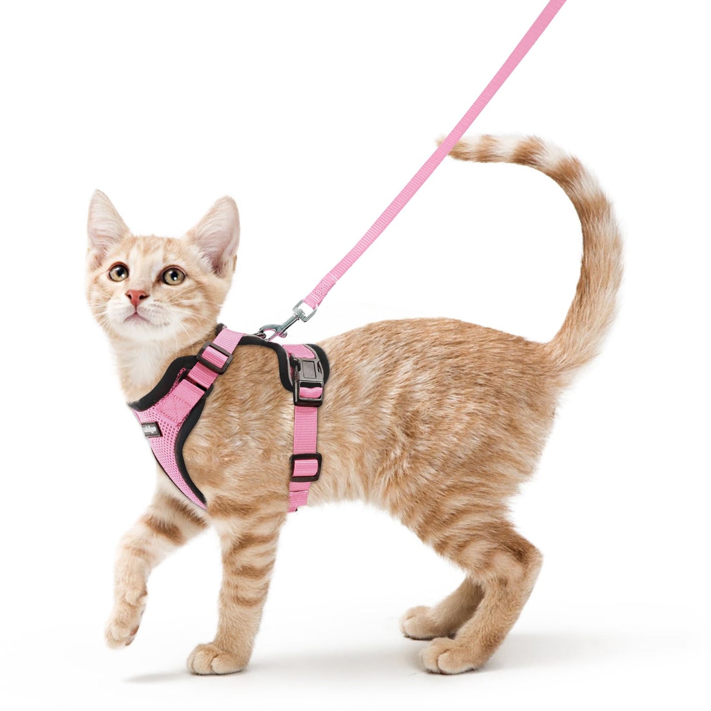 rabbitgoo Cat Harness and Leash for Walking, Escape Proof Soft Adjustable Vest Harnesses for Cats, Easy Control Breathable Reflective Strips Jacket, Pink, S