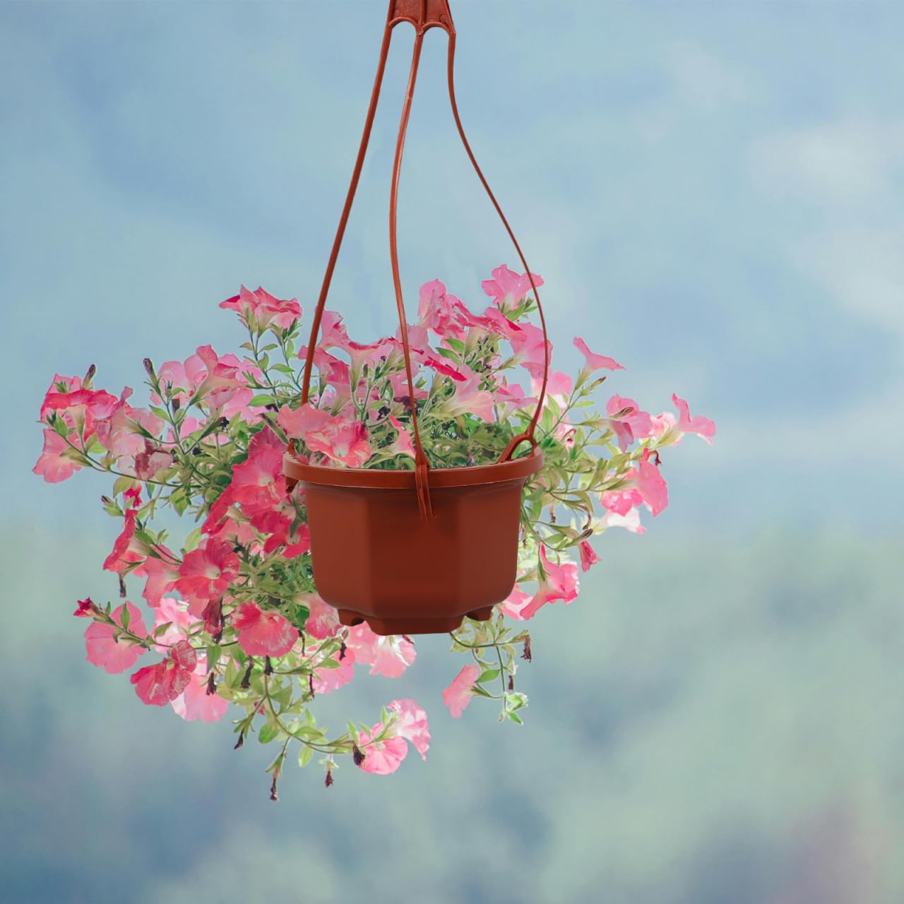 YARNOW 10 Pack Plastic Hanging Planters with Drainage Holes & Chains, 3.5 Inch Hanging Pots for Plants Indoor Balcony Garden Patio