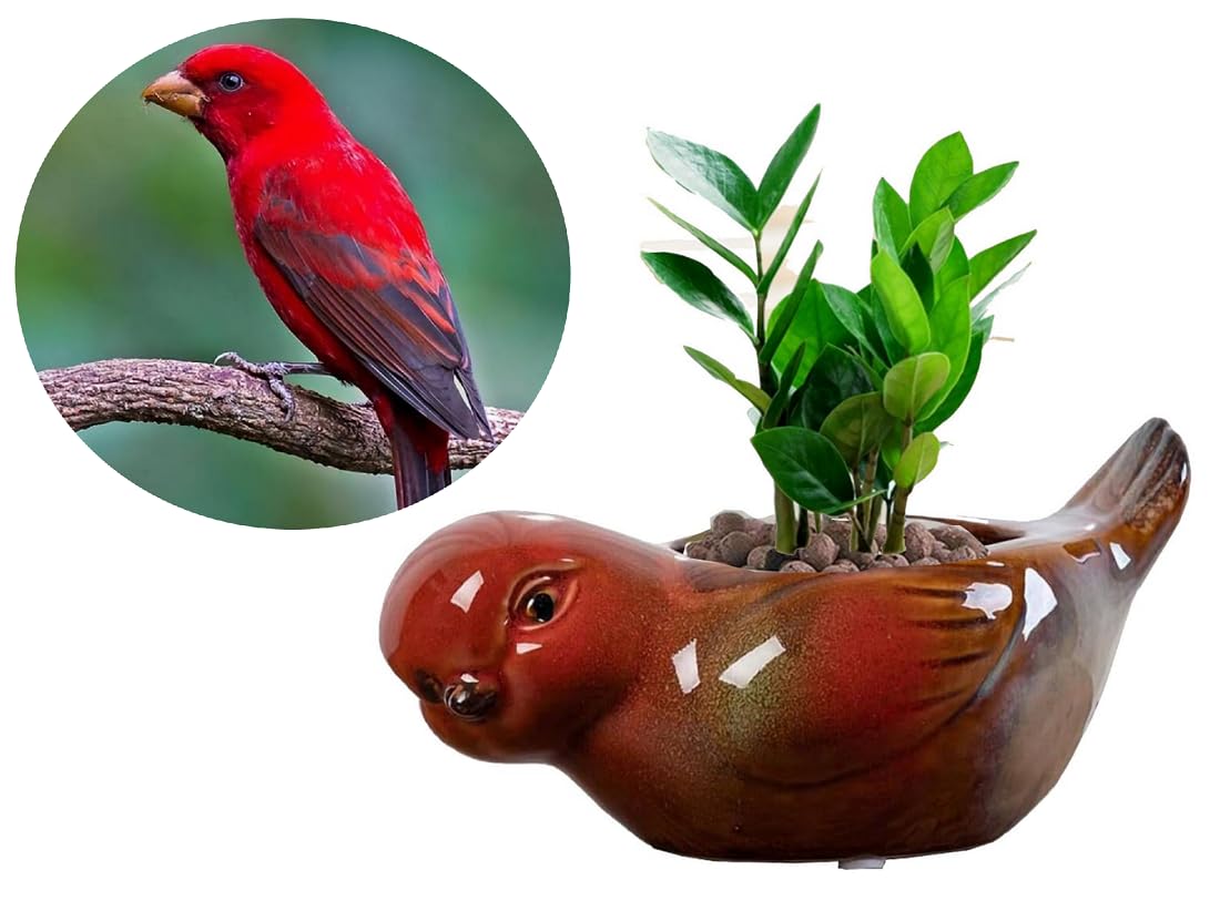 zmgmsmh Animal Shaped Planter Flower Pot Bird Shape Small Succulent pots with Drainage Ceramic Animal Planter, Indoor Plant Container Planter with Drainage Hole Home Office Desk Garden (Bird)