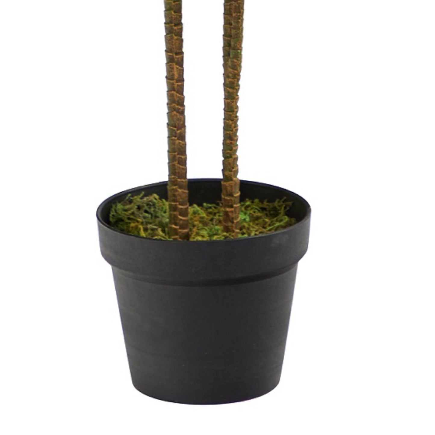 Nearly Natural 48in Artificial Dracaena with Real Touch Leaves and Multi Tonal Trunks, Large Indoor Silk Plant with Pot, Maintenance Free For Living Room And Home Office Decor