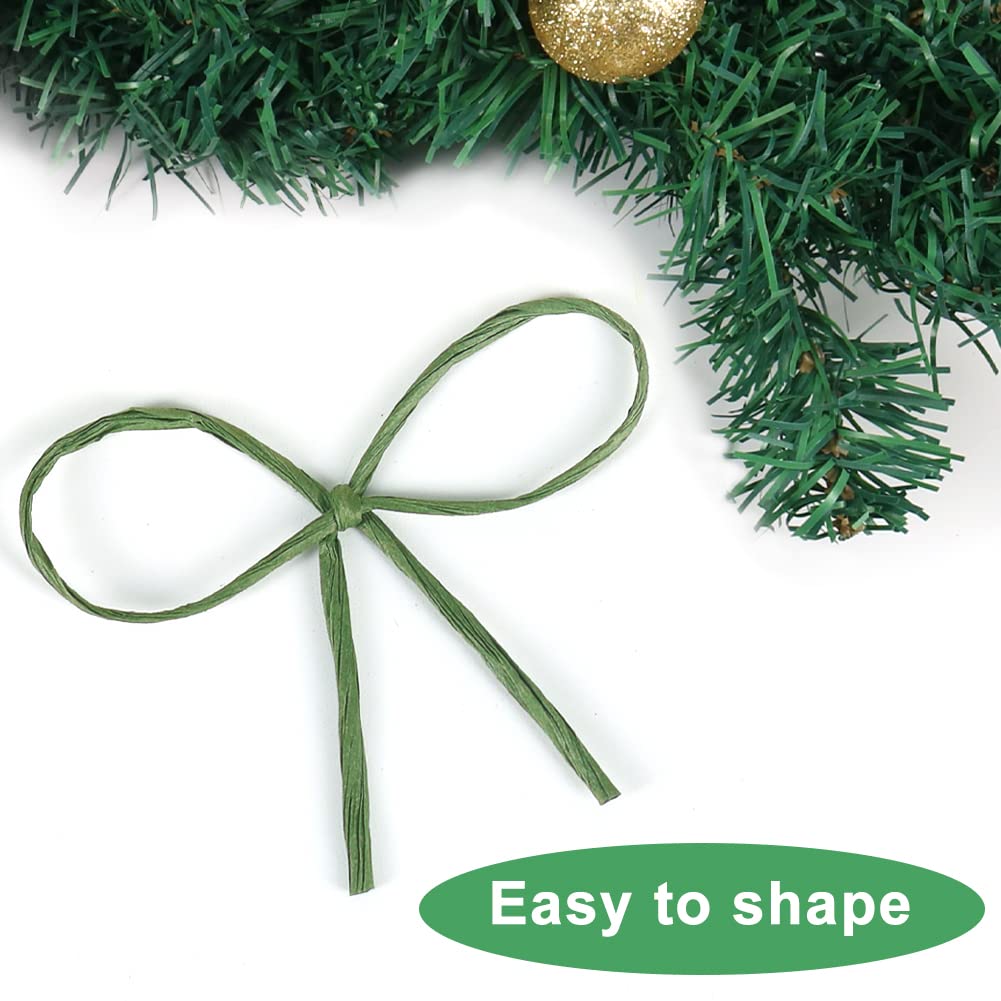 Tenn Well Floral Wire, 656 Feet 2mm Paper Covered Bind Wire for Floral Bouquets, Crowns, Wreath Making, Christmas Ornaments, Garlands, Wedding Decorating, Crafts (Green)