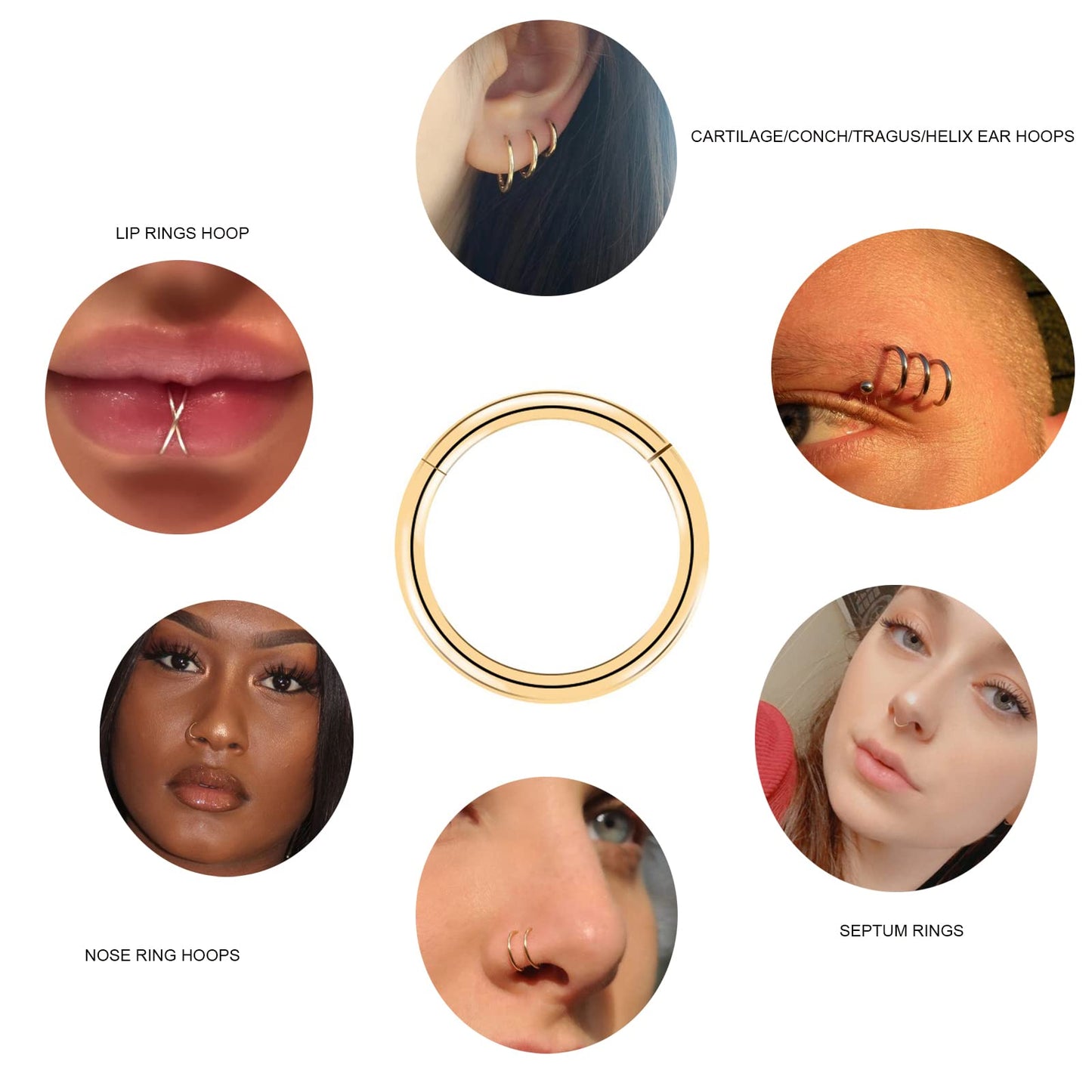 arvinpiercing BOGKU 6pcs G23 Titanium Nose Rings Hoops 20 Gauge 8mm Hypoallergenic Hinged Septum Clicker Segment Rings Cartilage Conch Tragus Helix Rook Earring Body Nose Piercing Hoops