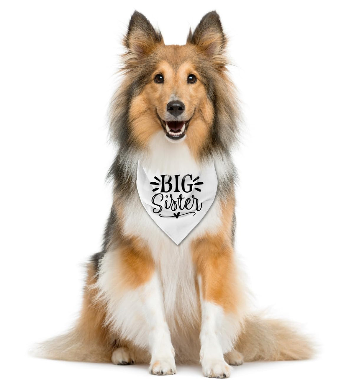 Big Sister Dog Bandana, White Pet Triangle Scarf Accessories, Pet Bandana for Large Dogs, Baby Announcement Dog Bandanas (L)