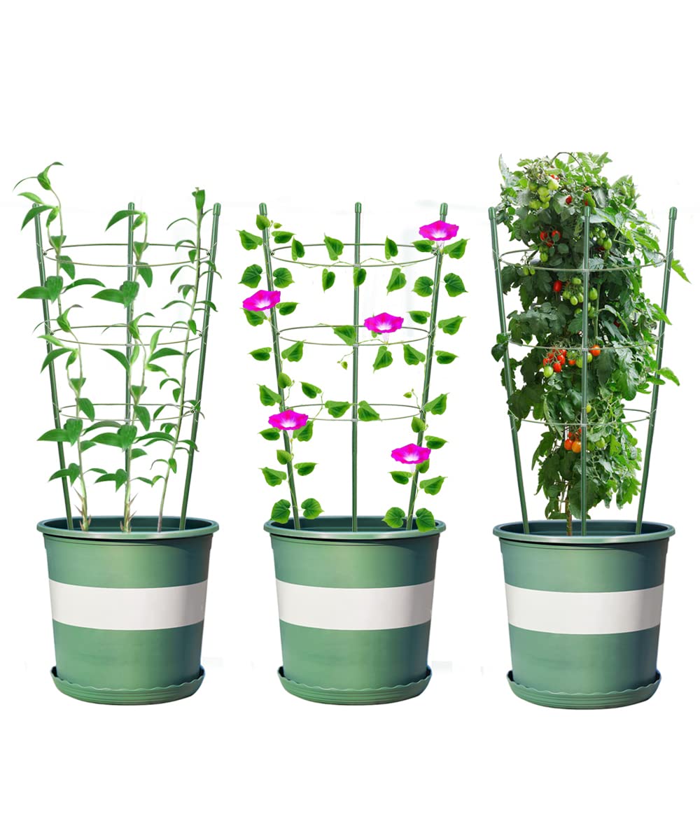 Alliico Plant Support Cages for Climbing Plant 20" Flower Cherry Tomato cage with Stand Stakes and Stable Support Rings, 3 Pack with 12 Clips (20")