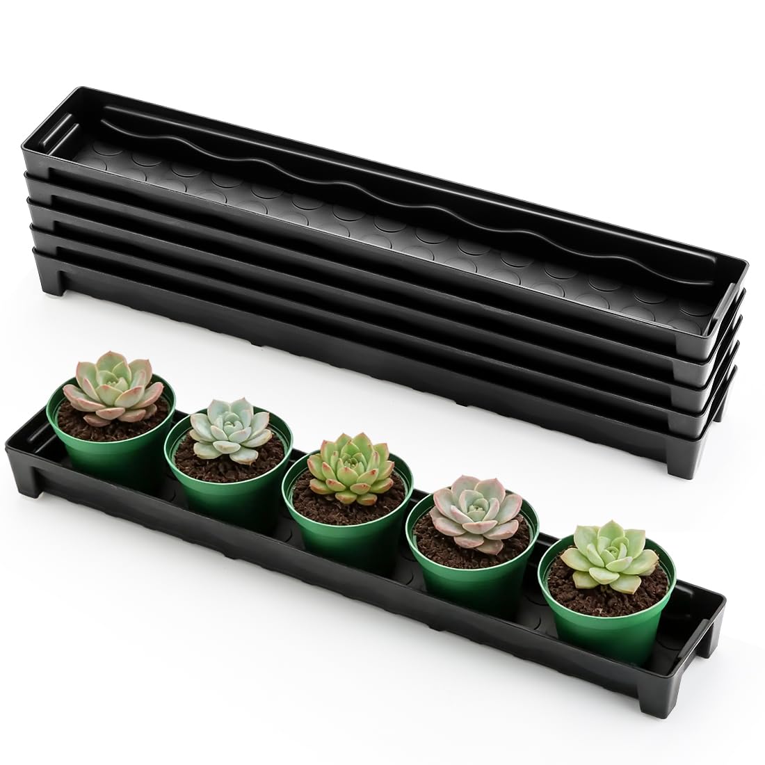 RooTrimmer 5 Pack Rectangular Window Sill Plant Pot Trays, 10 Pack 8 Cell Nursery Pot Trays with Clear Round Pots 80pcs