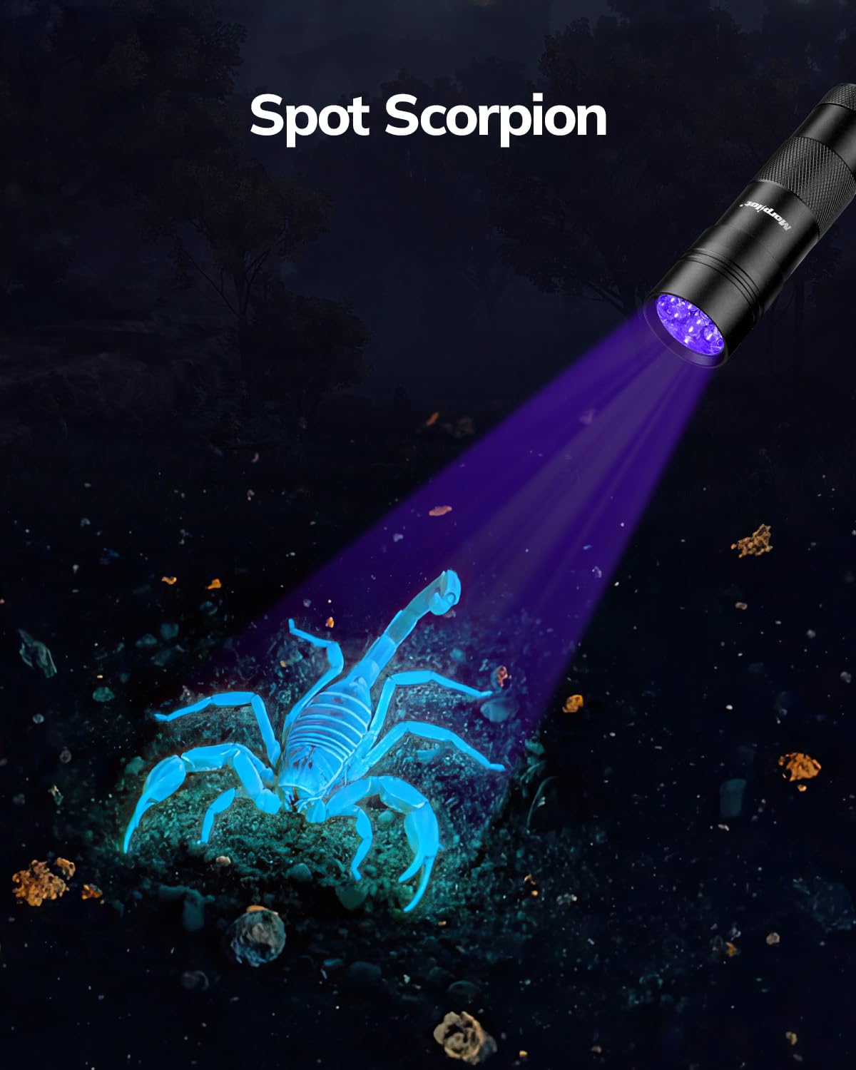 Morpilot UV Blacklight Flashlights - 12 LED 395nm Ultraviolet UV Flashlight, 2 PCS Blacklight Mini for Pet Urine Detection, UV Light for Stains, Bed Bugs, Resin Curing, Scorpions (Batteries Included)