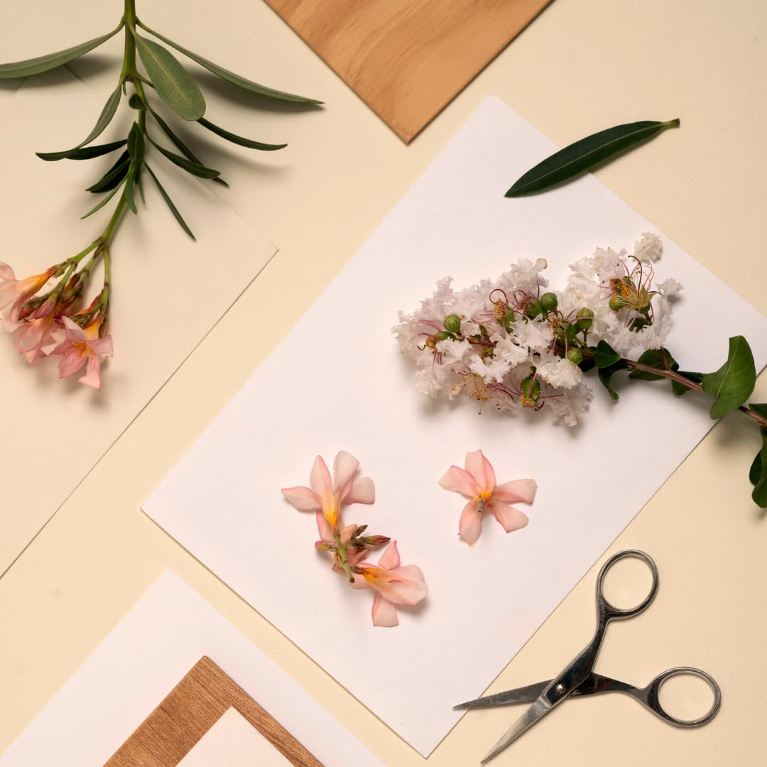 ECOHOME Flower Press Kit Replacement Cardboard Sheets - Ideal for Paper Crafting with Dried Flowers, Extends Lifeline, & Versatile Use in Botanical Art, 11.5x8.2 Size