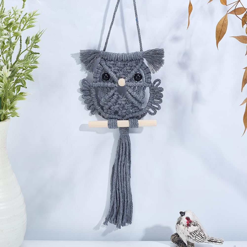 ACRNIGHEET 6PCS Macrame Owl Kit, Boho Owl Macrame Wall Hanging Supplies Decor, Macrame Kit for Adults Beginners, DIY Macrame Kits Includes Instruction with Video Home Decor Craft Kits for Adults