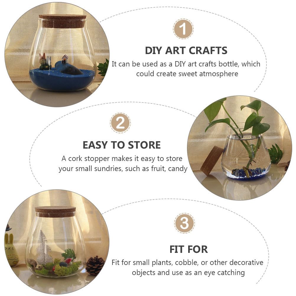 Ciieeo Creative Glass Bottle Ornament 4.52X3.93X3.93In Clear Terrarium Jar with Cork Lid for Mini Plant Display Diy Crafts Home D Cor Accent