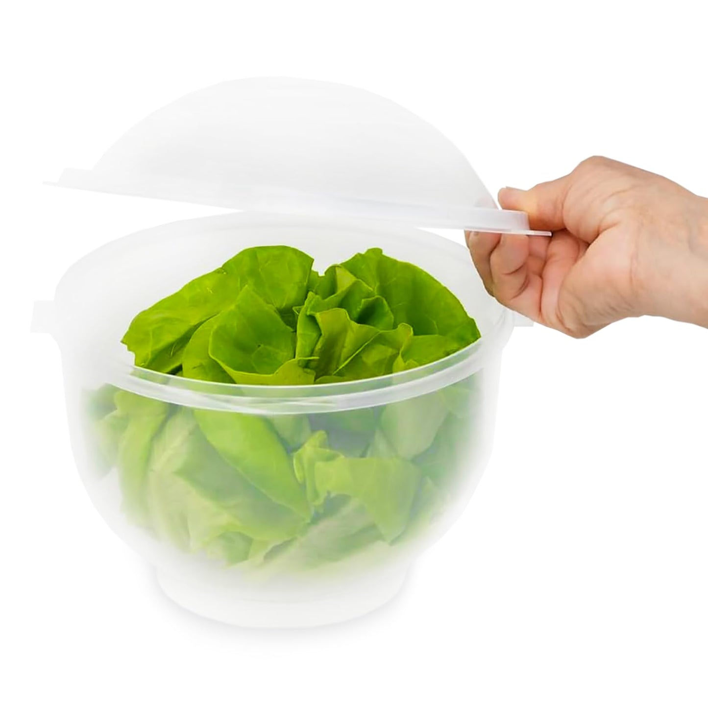 Home-X Lettuce Keeper - BPA-Free Lettuce Keeper for Refrigerator to Keep Salads and Vegetables Fresh - 7" x 8" Lettuce Crisper with Drainage Reservoir - Clear See-Through Vegetable and Fruit Crisper