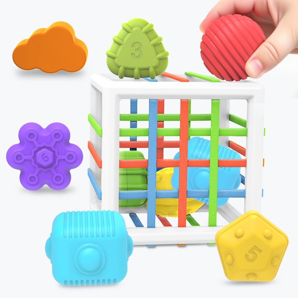 EasierLTtoys Suitable for 1-Year-Old Babies, 6-piece Multi-Sensory Shape Toys, Early Childhood Development Learning Birthday Gift, 12-Month Baby Toys
