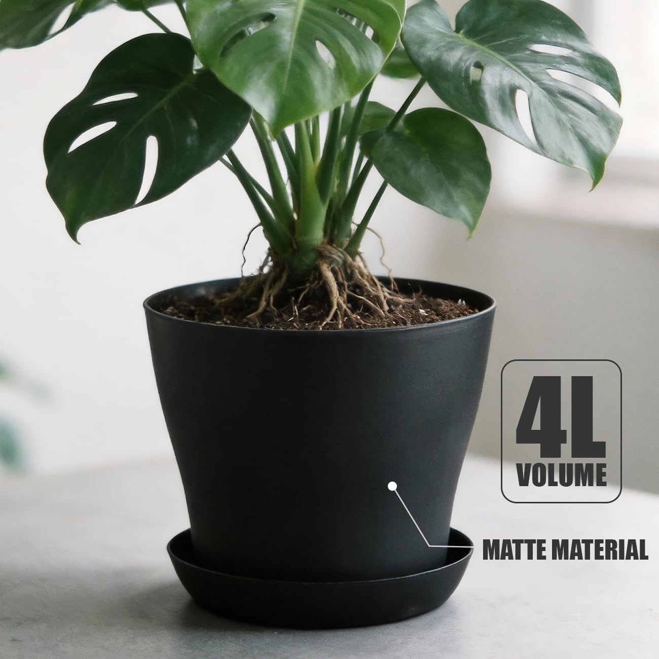 BTPLASTIK 6 Pack 8-Inch Plastic Planter with Saucer, Black- Durable Non-Slip Stackable Indoor/Outdoor Plant Pots with Large Drainage Holes, Minimalist Curved Design for Succulents, Herbs, Cacti
