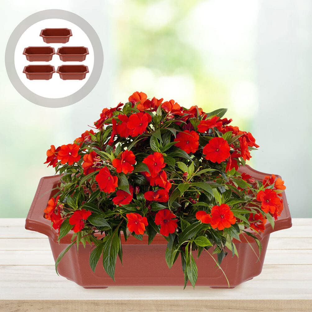 Healeved 10Pcs Small Bonsai Pot with Drainage Holes 6.3in X 4.6in Rectangular Bonsai Training Pots Plastic Flowerpot for Indoor Succulents Cactus Plants Growing Planter for Garden