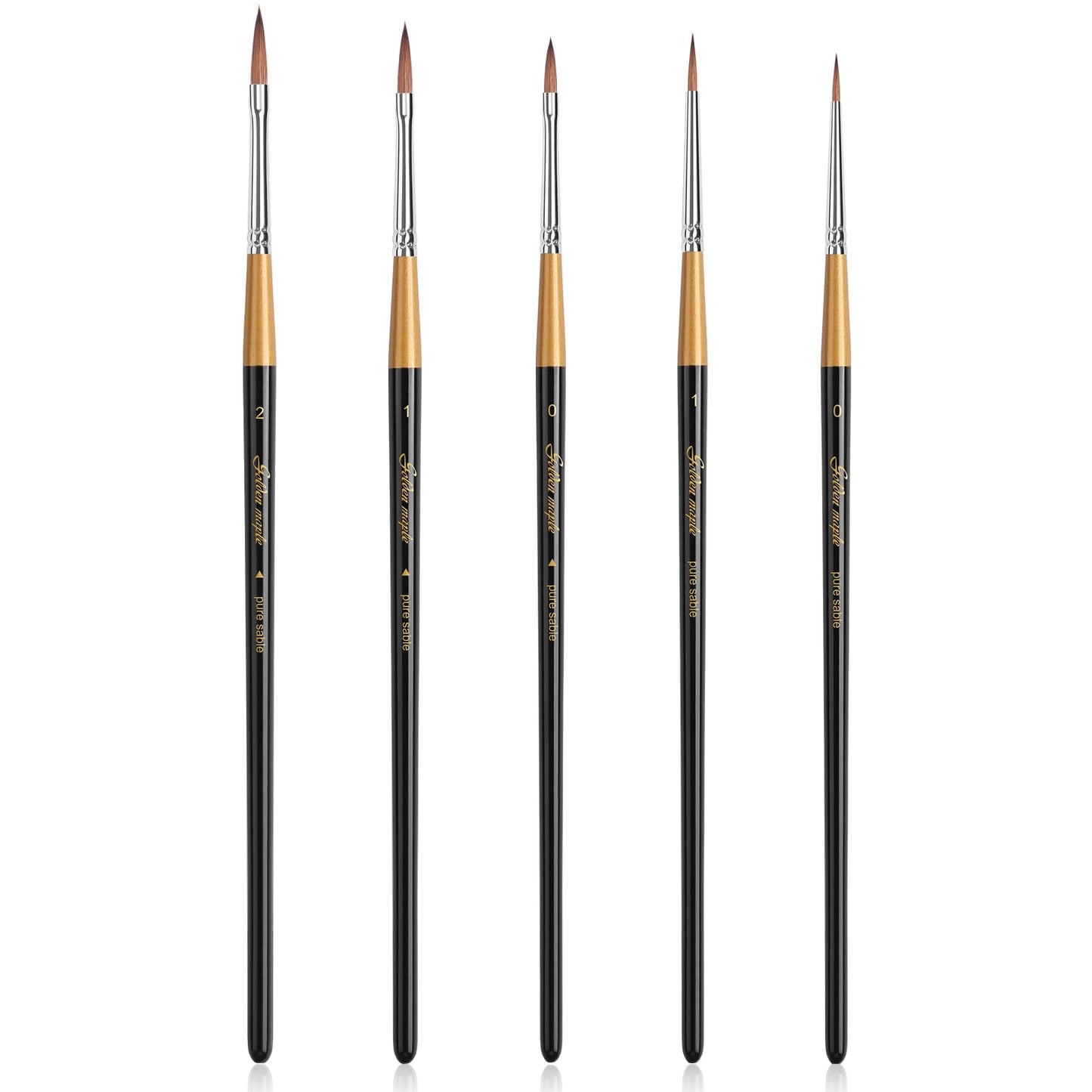 Golden Maple Kolinsky Sable Miniature Paint Brushes, 5PC Professional Detail Paint Brushes Arrow Point Paint Brush Set for Models, Watercolor Details, Figures & Gouache Painting, Black