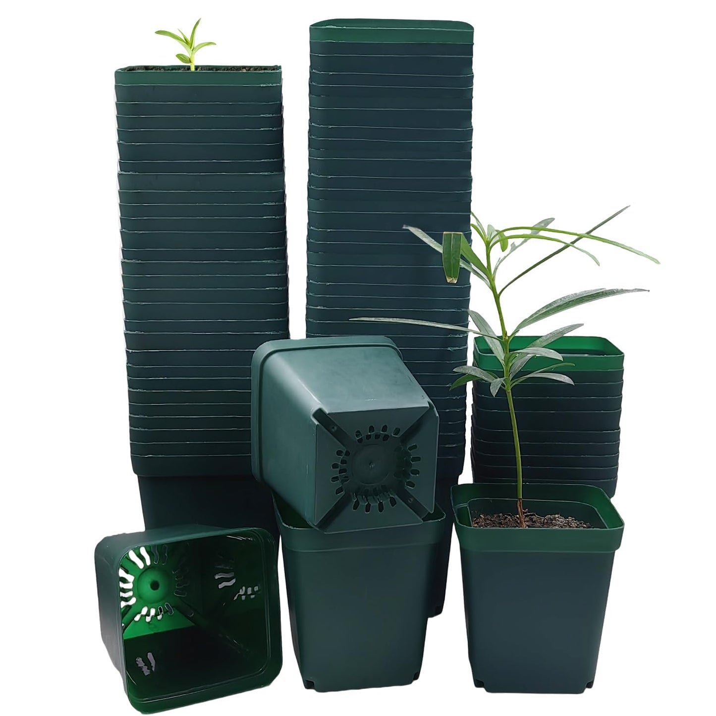 RooTrimmer Square Nursery Seedling Pot 3.5 Inches 90 Pcs, Small Nursery Pot Plastic Thick and Sturdy Seed Start Germination Pot for Plant Propagation and Seeding(Green,3.54 Inches, 90Pcs)