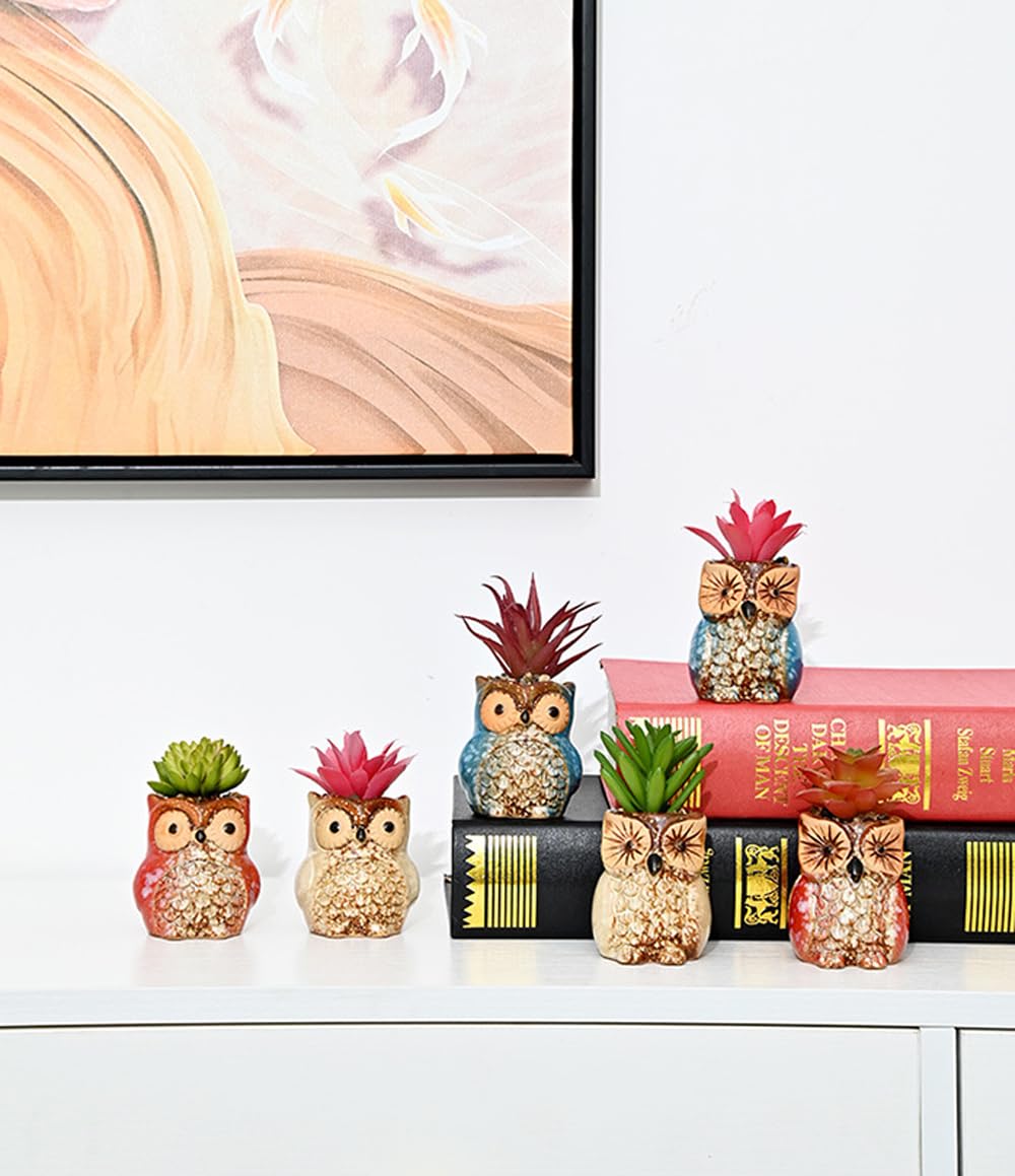 ROSE CREATE 6 Pcs Mini 2.5 Inches Colorful Owl Pots, Little Ceramic Succulent Owl Planters with Drainage Holes