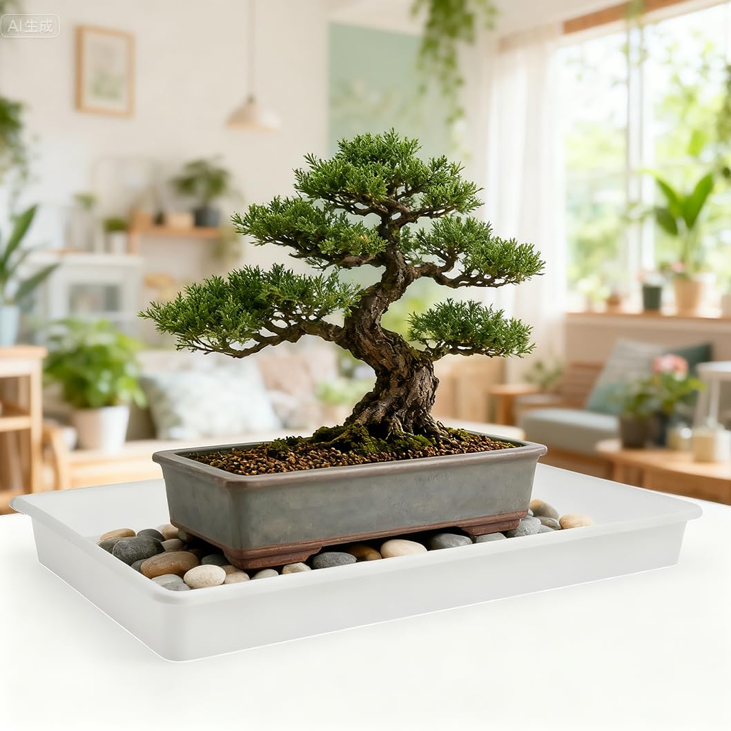 MUZHI 3 Pack Plastic Bonsai Humidity Trays, Rectangle Plant Growing Saucer Water Catcher Drip Tray, Seed Starter Drainage Tray Transparent (11.5x8.3 Inch)