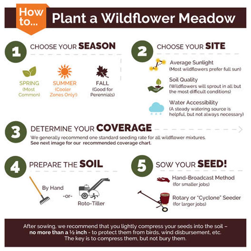 UtopiaSeeds White Wildflower Seed Mix - Attracts Hummingbirds and Butterflies - Easy to Grow