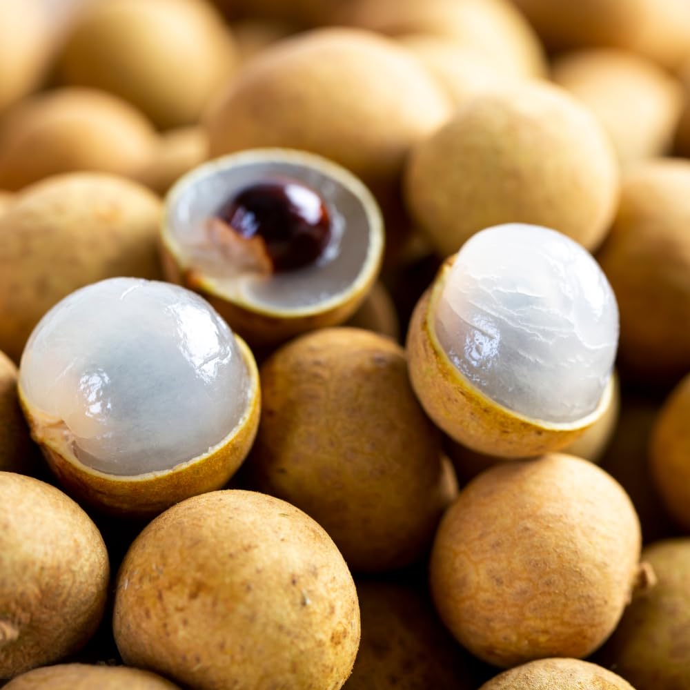 Longan Fruit Tree Live Plant, 2-3 Feet Height in 3 Gallon Container, Tropical Tree for Indoor Outdoor Planting and Home Garden Use, No Ship to CA