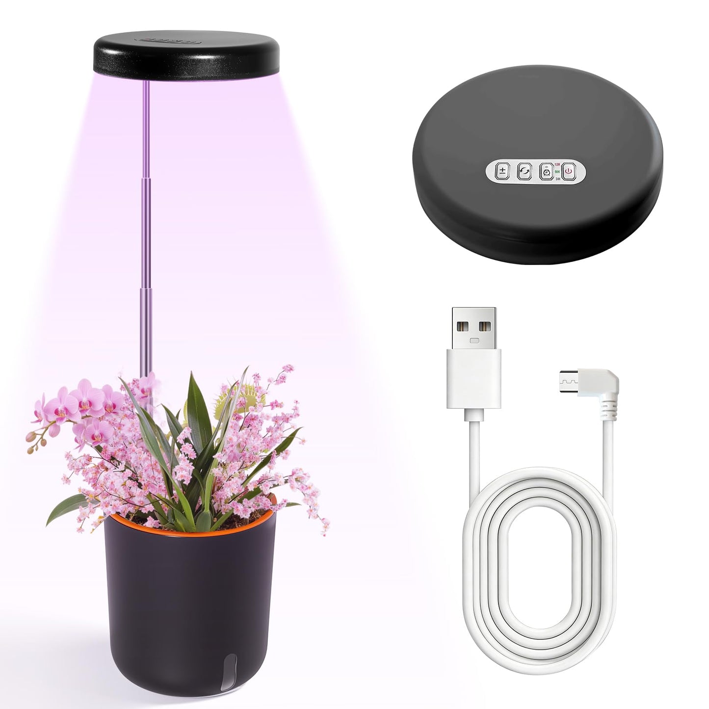 Raygrov Self-Watering Planter with Grow Light — Cute Desk Plant Pot for Office, Bedroom & Window — No Green Thumb Needed, 2-in-1 Wall + Desktop, USB Powered (5W LED, White)