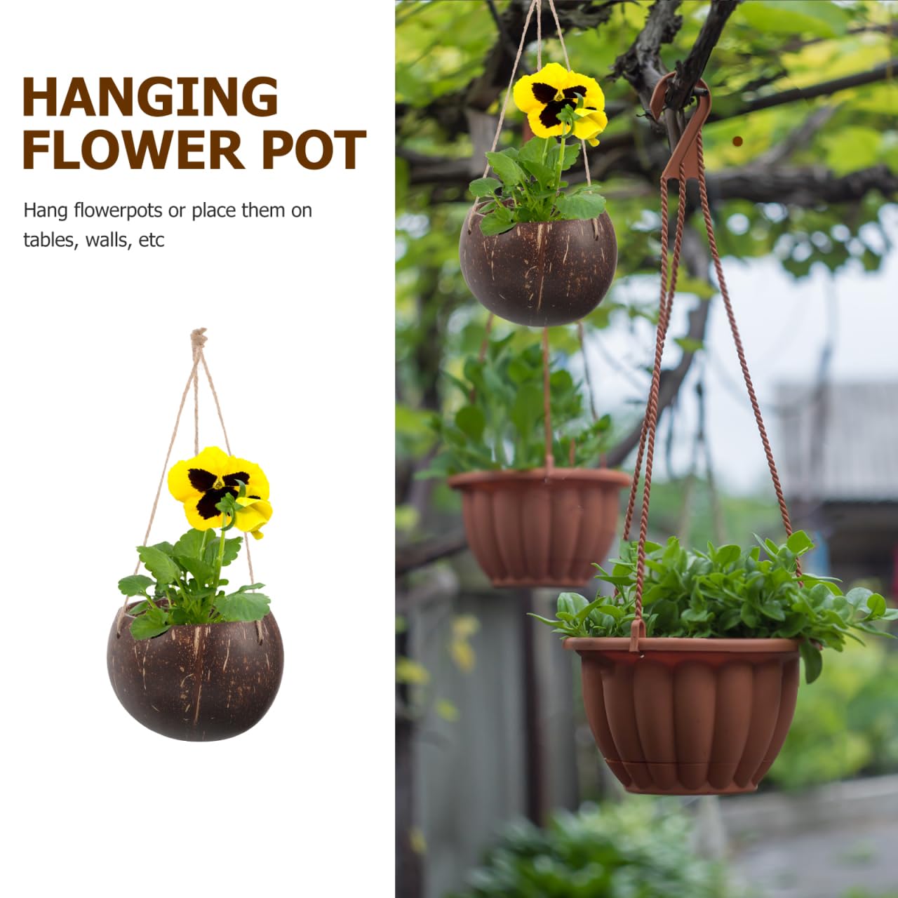 GANAZONO Coconut Shell Hanging Planter with Rope - Natural Indoor & Outdoor Hanging Pot for Orchids and Small Plants Eco-Friendly Round Coconut Planters for Home and Balcony Decor