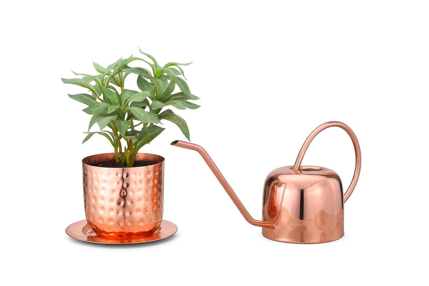 Glytterati - Indoor Watering Can and Planter with Plate.