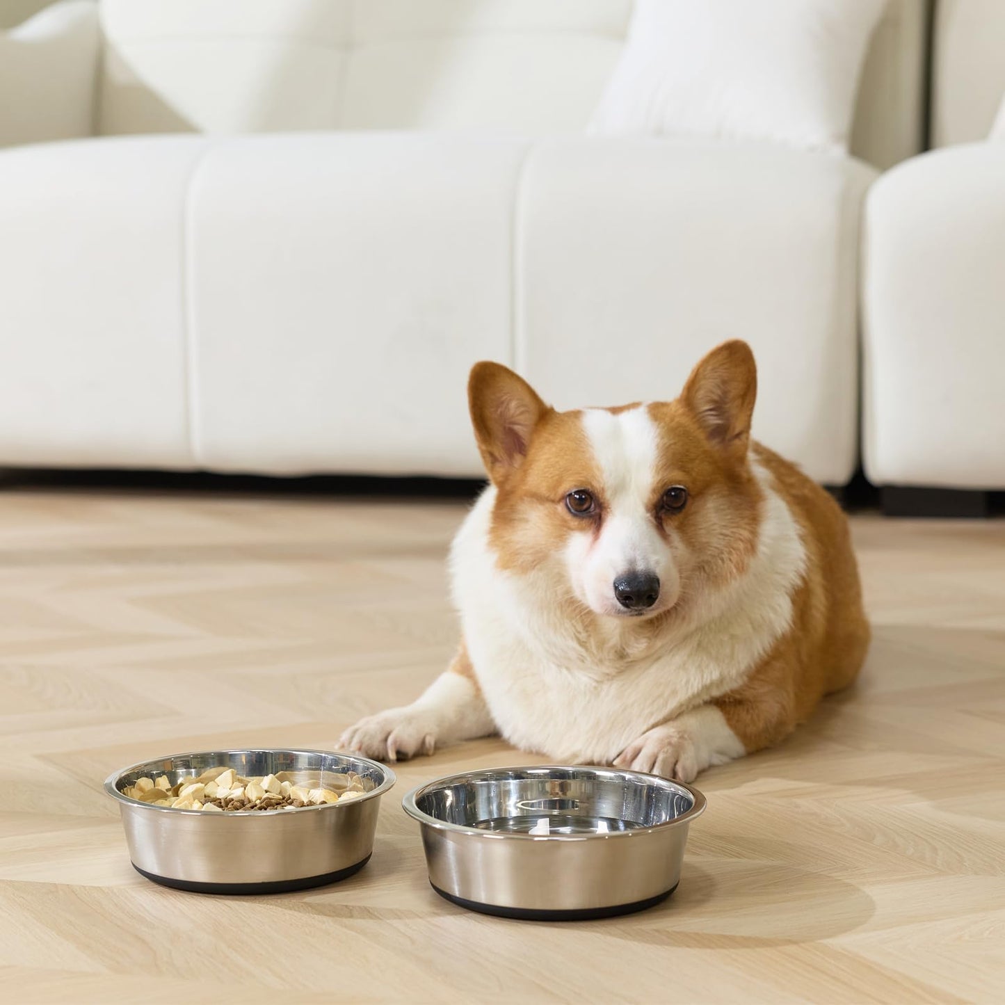 Dog Bowls Durable Heavy Duty Stainless Steel Dog Bowls Non-Slip Basic Bowl for Dogs with Rubber Base (2 Pack, 3 Cups)