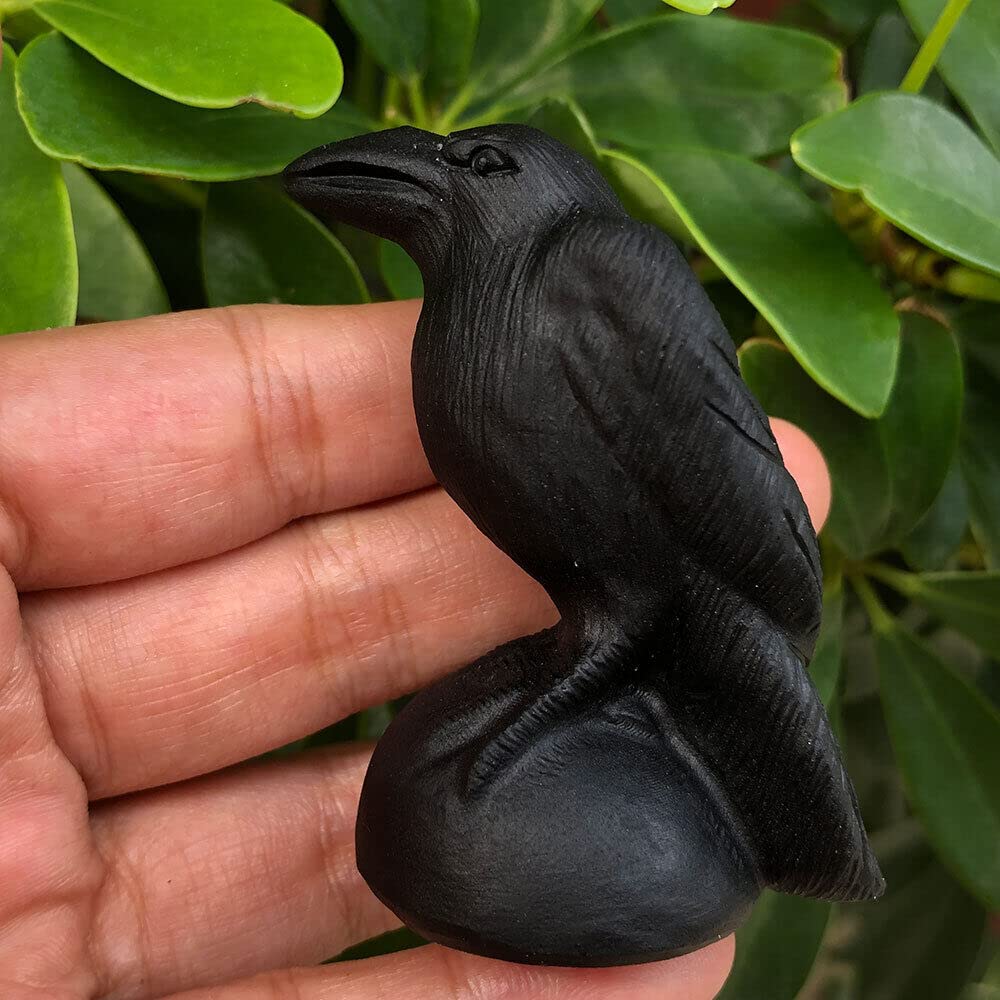 TEAMWILL 1pc Natural Black Obsidian Crow Skull Quartz Crystal Carved Skull Figurines Healing 2.76"