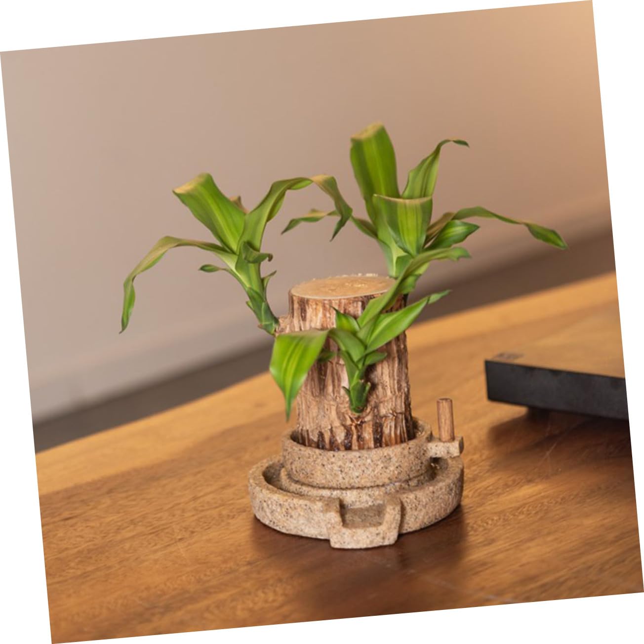 COOLHIYA Creative Stone Mill Shape Resin Flowerpot Desktop Succulents Container for Home Office Garden Balcony Decor in Dark Gray