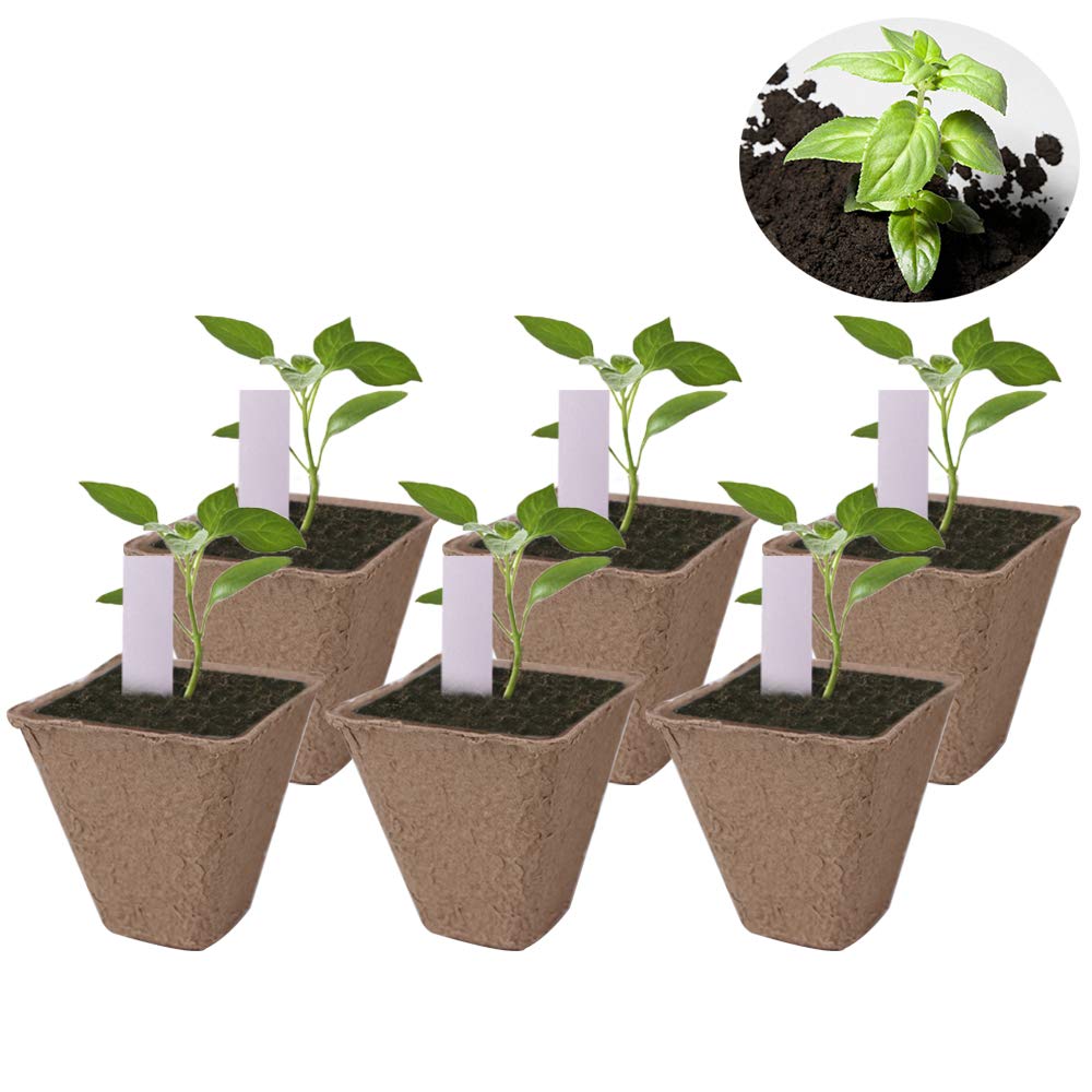 Huvai 100 Pack 3.15" Square Biodegradable Peat Pots Plant Seedling Saplings & Herb Seed Starters Kit with 100 Pcs White Plastic Plant Labels