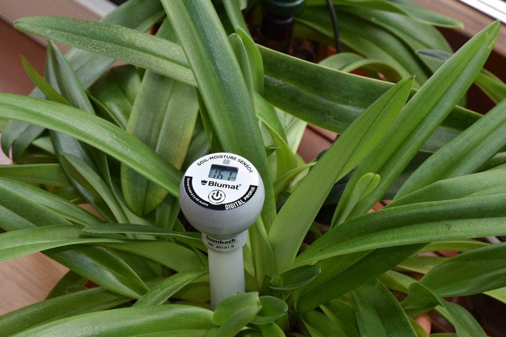 Blumat Moisture Meter for Plants - Accurate Soil Moisture Meter - Easy to Use Advanced Water Meter for Gardening (Moisture Meter with Cap)