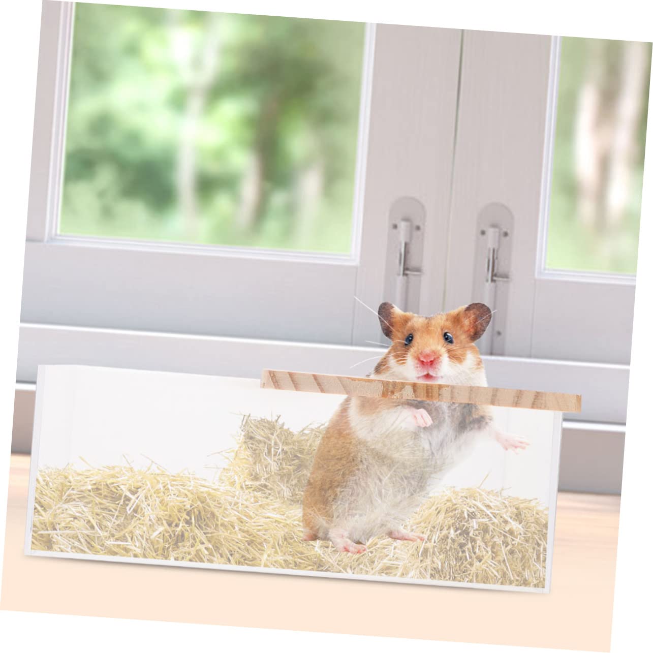 WOONEKY Chinchilla Bath Toy Bin Acrylic Small Chinchilla Bathtub Multi-Function Cage Box Easy Clean Design