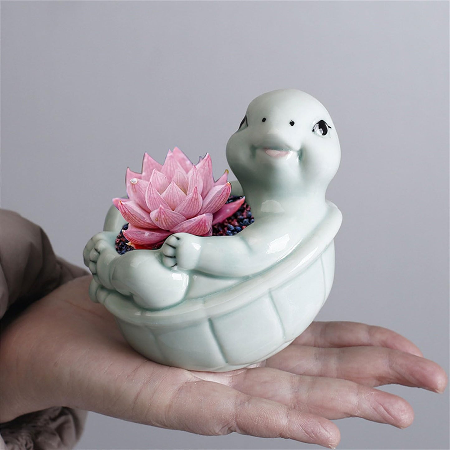 Zkbszn Turtles Flower Pots Flower Planter Pots Decorative Turtles Succulents Planter Creative Cartoon for Garden Desktop Decors