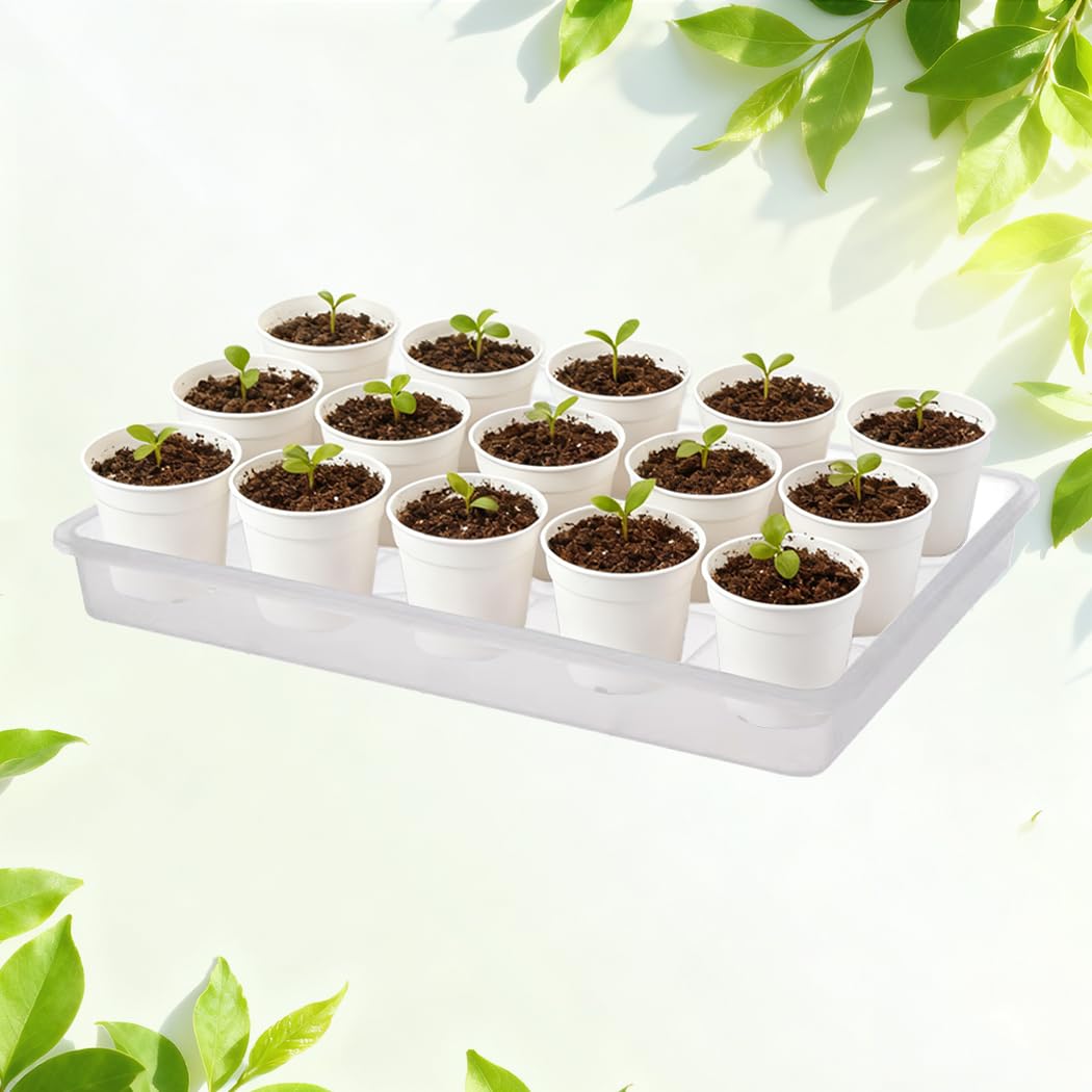 MUZHI 3 Pack Plastic Bonsai Humidity Trays, Rectangle Plant Growing Saucer Water Catcher Drip Tray, Seed Starter Drainage Tray Transparent (11.5x8.3 Inch)