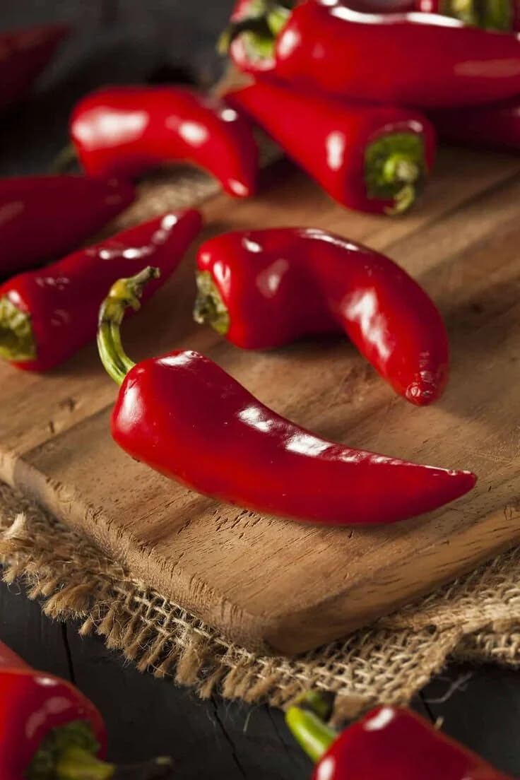Live Plant - Gentleman Pepper (Chili Hot Pepper) Live Tree 1-2Ft
