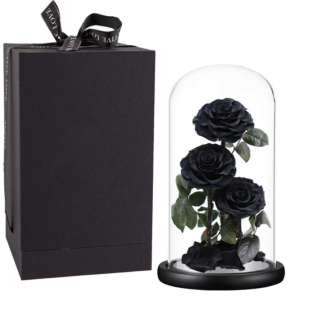 Preserved Roses Handmade Preserved Flowers in Glass Dome, Black Roses Never Withered, Birthday Gifts for Her (13 inch)