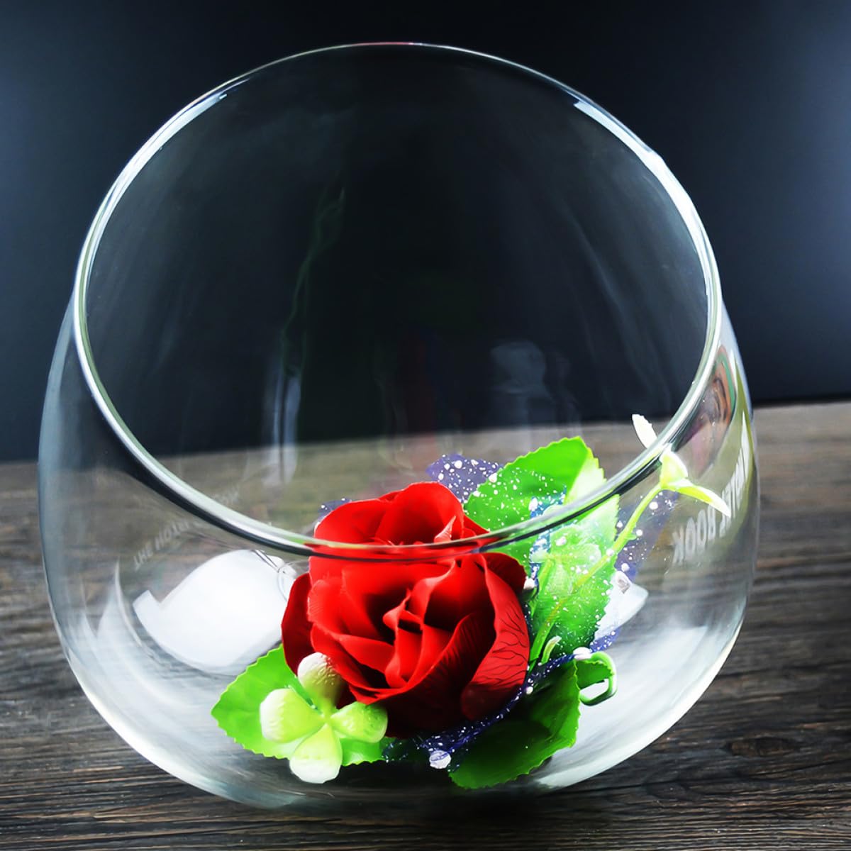 Healeved 3pcs Slant Cut Glass Bottle Micro Landscape Succulent Vase Set, Ecological Desk Terrarium Decoration for Home and Office