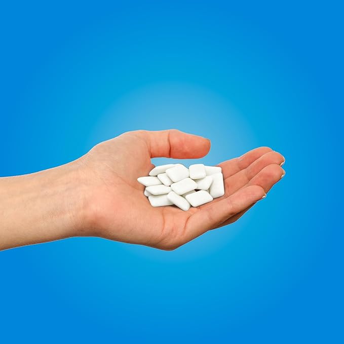 PUR Gum | Aspartame Free Chewing Gum | 100% Xylitol | Natural Peppermint Flavored Gum, 55 Pieces (Pack of 12)