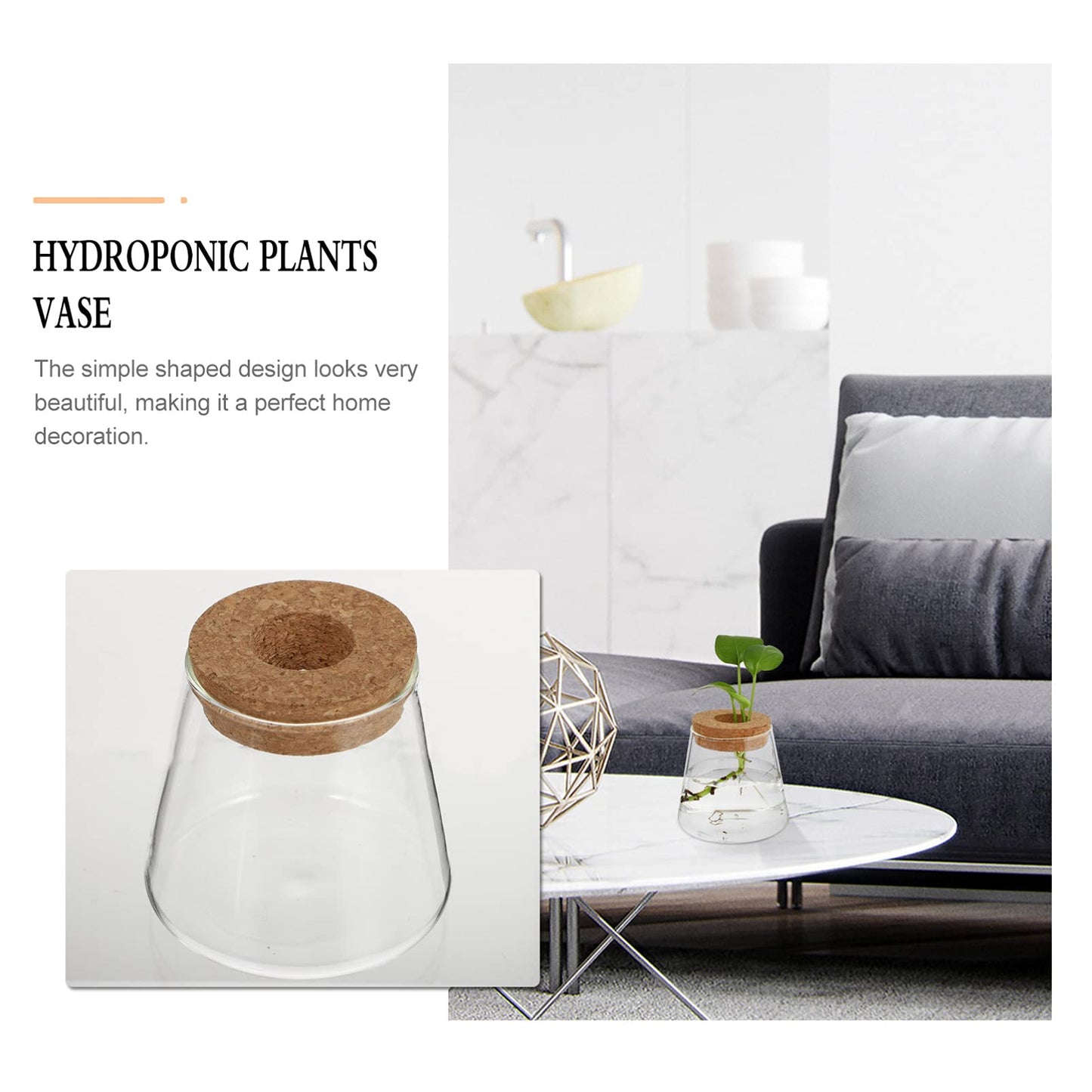 NOLITOY 2pcs Desktop Glass for Hydroponics Stylish Water Vase for Decor Glass Terrarium for Plant Propagation