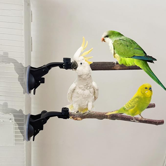 2 PCS Parrot Perch Stand, Natural Wood Bird Perch with Suction Cup Parrots Cage Shower and Window Wall Bath Standing Rack for Bird, Cockatoo, Macaw, Parakeet