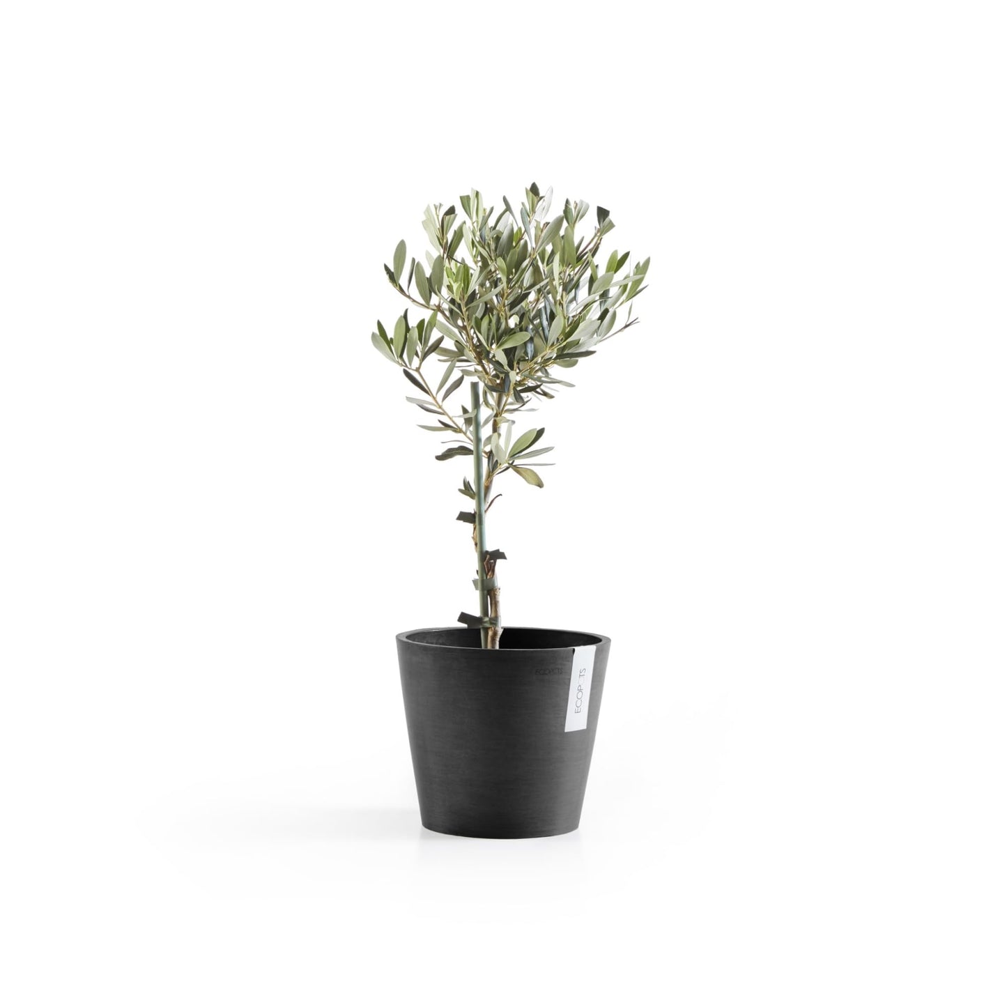 Ecopots Amsterdam Durable Modern Round Indoor/Outdoor Recycled-Based Composite Flower Pot Planter, Dark Grey, 8"