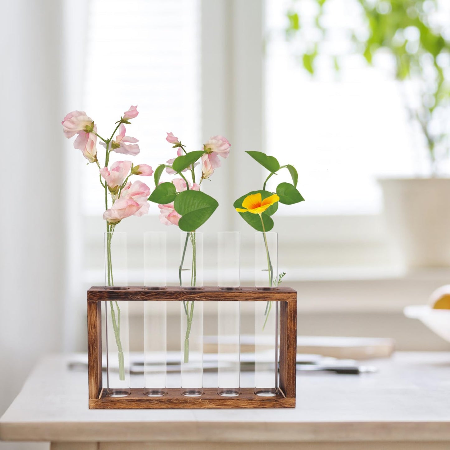LALAFINA Glass Test Tube Vase Large Hydroponic Planter Container for Water Propagation Indoor Plants Terrarium Home Décor