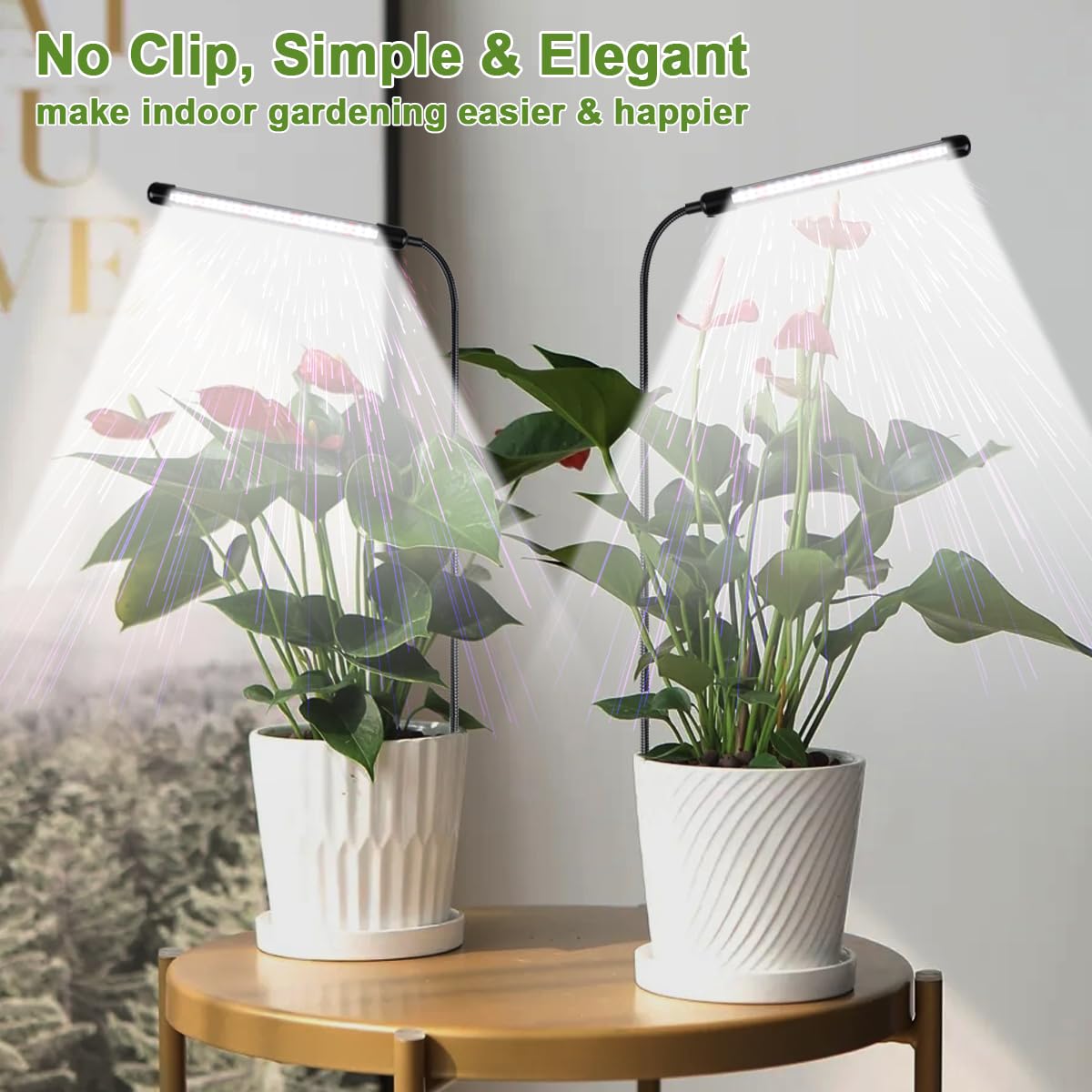 WeeLeeGoo Grow Light 2 Pack, 6000K Full Spectrum Gooseneck Growing Lamp for Indoor Bonsai Pot Succulents Micro Greens Mini Plants, Dimmable & Auto Timer 4 8 12H